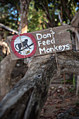 Hinweis Schild Affen nicht zu Füttern, Büffel Bucht Ao Khao Kwai, Ko Phayam, Andamanensee, Thailand, Südost Asien