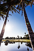 A romantic golf course with lake and palms reflected in the water, Ft. Myers, Florida, USA