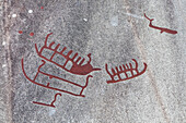 Petroglyphs in Vitlycke near Tannum, Bohuslän, Västergötland, Götaland, South Sweden, Sweden, Scandinavia, Northern Europe, Europe