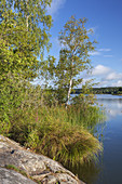 Shore of lake Mäsnaren close to Stadan. Södertalje, Stockholmland, South Sweden, Sweden, Scandinavia, Northern Europe, Europe