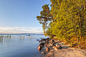 Shore of Lake Vättern near Karlsborg in the morning, Västergötland, Götaland, South Sweden, Sweden, Scandinavia, Northern Europe, Europe