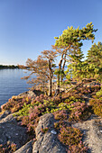 Shore of Lake Vänern, Peninsula Kallandsö, Västergötland, Götaland, South Sweden, Sweden, Scandinavia, Northern Europe, Europe