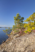 Ufer des Vänern auf der Halbinsel Kallandsö, Västergötland, Götaland, Västra Götalands län, Südschweden, Schweden, Skandinavien, Nordeuropa, Europa