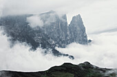 Blick auf den Schlern von der Seiser Alm aus, Dolomites, Unesco, Südtirol, Italien