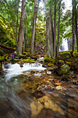 A photographer takes a picture of Cedar Hollow Falls in North Cascades National Park, Washington.