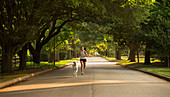 Caucasian woman and dog jogging on neighborhood street
