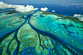 Aerial view of tidal channels in coral which feed central lagoon with sea water, Aldabra, Seychelles