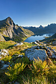 Idyllische Berglandschaft auf der Lofoteninsel Moskenesøy in der Morgensonne mit Blick auf den Forsfjorden und den Brynliskartinden (798 m, links), Lofoten, Norwegen, Skandinavien