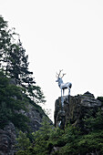 Hirschsprung, Höllental, bei Freiburg im Breisgau, Schwarzwald, Baden-Württemberg, Deutschland