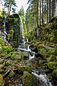 waterfall, Menzenschwand, St Blasien, Black Forest, Baden-Wuerttemberg, Germany