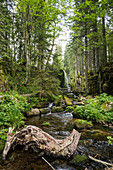 Wasserfall, Menzenschwand, St Blasien, Schwarzwald, Baden-Württemberg, Deutschland