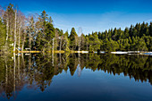 Blindensee, bei Schonach, Schwarzwald, Baden-Württemberg, Deutschland