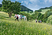 Castelrotto, South Tyrol, Italy. Participants of the Oswald von Wolkenstein Ride on the way to Castelrotto