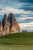 Alpe di SiusiSeiser Alm, Dolomites, South Tyrol, Italy. Sunrise on the Alpe di SiusiSeiser Alm. In the background the peaks of Euringer and Santner