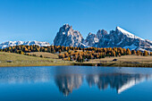 Alpe di SiusiSeiser Alm, Dolomites, South Tyrol, Italy. Reflections on the Alpe di SiusiSeiser Alm