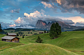 Alpe di SiusiSeiser Alm, Dolomites, South Tyrol, Italy. View from the Alpe di Siusi to the peaks of SassolungoLangkofel and Sassopiatto  Plattkofel