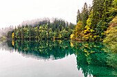 Italy, Trentino Alto Adige, Non valley, reflection of autumn trees Tovel Lake