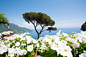 Ravello, Amalfi Coast, Sorrento, Italy. View of the coastline from Villa Rufolo