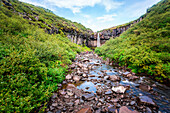 Iceland, Skaftafell National Park, Svartifoss waterfall