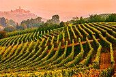 Italy, Piedmont, Cuneo district, Langhe, the vineyards and the castle of Castiglione Falletto