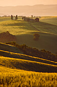 Italy, Tuscany, Siena District, Orcia Valley - Santa Vitaleta at Sunrise