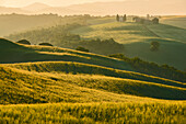 Italy, Tuscany, Siena District, Orcia Valley - Santa Vitaleta at Sunrise