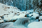 Snow and ice on Cordevole River, the main river that crosses the Agordino, Dolomites, Belluno