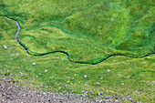 The river of Rio Baste drawn in green grassy plain near Mondeval, Selva di Cadore, Dolomites, Veneto, Italy.