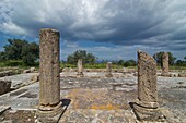 Ruinen der Ayios Trias Basilika mit Säulen und Mosaik in Sipahi,  Karpaz Halbinsel, Nord-Zypern