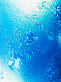 Frost pattern on glass, Cold