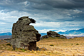 The bizarre rock formation on Rough Ridge featured in some of Grahame Sydney's paintings, Otago, South Island, New Zealand