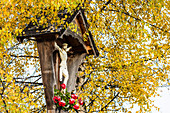 Ein geschnitztes altes Wegkreuz, eingerahmt von einer Birke und Geranien im Herbst nach dem Neuschnee, Radein, Dolomiten, Südtirol, Alto Adige , Italien
