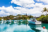 Blick auf private Motorboote in klarem blauem Wasser mit Villen und Palmen im Hintergrund, Tucker's Town, Insel Bermuda, Großbritannien