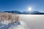 Winterlandschaft am Barmsee, Blick auf Soierngruppe und zum Karwendel, Bayern, Deutschland