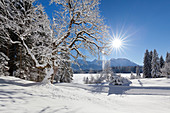 Winterlandschaft am Barmsee, Blick zum Karwendel, Bayern, Deutschland