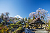 Japan ,Mount Fuji from Oshino Mura.