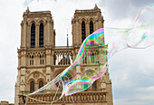 Soap bubbles. Notre Dame Cathedral. Paris. France.
