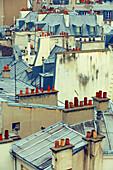 Parisian rooftops and chimneys. Latin Quartier. Paris. France.