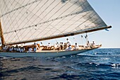 Vintage boat sailing in a race, at the Mediterranean Sea. Menorca. Baleares, Spain, Europe