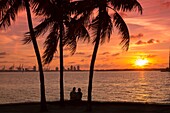 Palm Trees Couple Sitting Miami Beach Port Of Miami Skyline Biscayne Bay Miami Florida Usa.