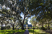 USA, Georgia, St. Simons Island, Frederica, Christ Church and live oak trees.