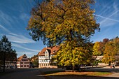 Germany, Baden-Wurttemburg, Maulbronn, Kloster Maulbronn Abbey, buildings of the abbey village.