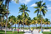 Florida, Miami Beach, Lummus Park, Serpentine Trail, palm trees.