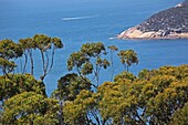 Wilsons Promontory in Victoria, on the southern tip of mainland Australia.