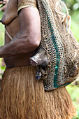 Kombai woman carrying a pig as pet in her sac, Papua, Indonesia, Southeast Asia.