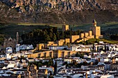 Alcazaba (fortress) overlooking the city of Antequera, Malaga province, Andalusia, Spain