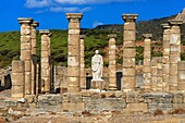 Bolonia, Baelo Claudia, Archaeological site , old roman city , Strait of Gibraltar Natural Park, Costa de la Luz, Cadiz, Andalusia, Spain, Europe.