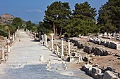 The Arcadiane street. Ephesus Archaeological Site, Izmir province, Turkey.