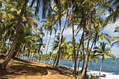 path on Pointe des Cayes, Ile Royale, Iles du Salut Islands of Salvation, French Guiana, overseas department and region of France, Atlantic coast of South America.