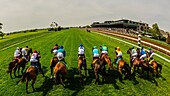 View from the starting gate of a race on the turf course at Keeneland Racecourse, Lexington, Kentucky USA.